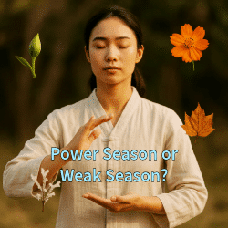 A young East Asian woman practices qi gong outdoors in a beige traditional outfit, eyes closed in calm focus. Around her float four cinematic seasonal symbols: a green bud for spring, an orange blossom for summer, a maple leaf for autumn, and a frost-covered branch for winter.