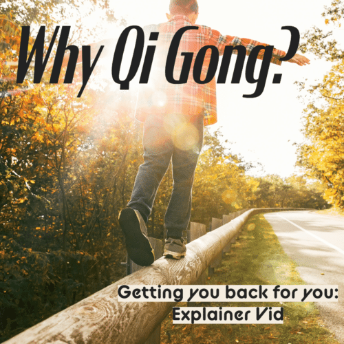 Cover photo illustrating the balance provides for life