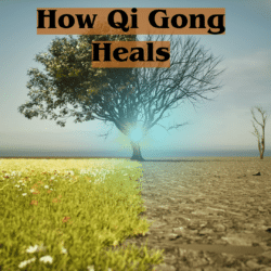 cover photo illustrating the recovery of damaged area