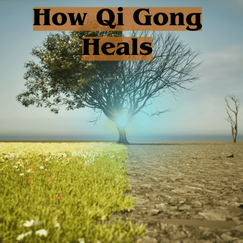 cover photo illustrating the recovery of damaged area