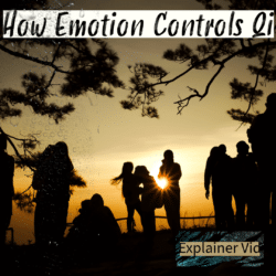 cover image showing a representation of emotion influencing qi