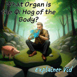 Man sits on rock contemplating qi and energy cost.