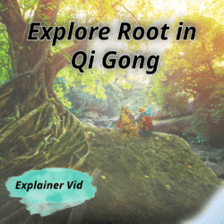 explore root in qi gong