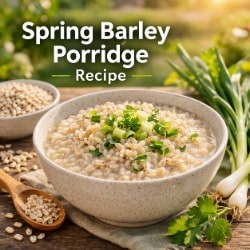 Spring barley porridge in a bowl with raw barley grains and green onions on an outdoor wooden table